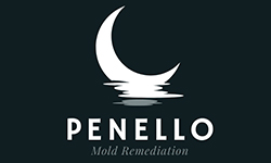 Penello Mold Remediation - Mold Services